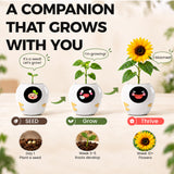 PlantBot Interactive Smart Plant Robot