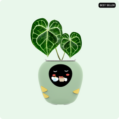 PlantBot