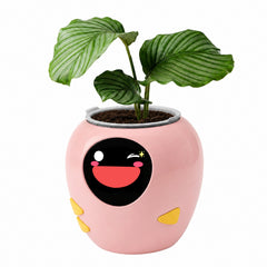 PlantBot Interactive Smart Plant Robot
