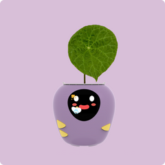 PlantBot