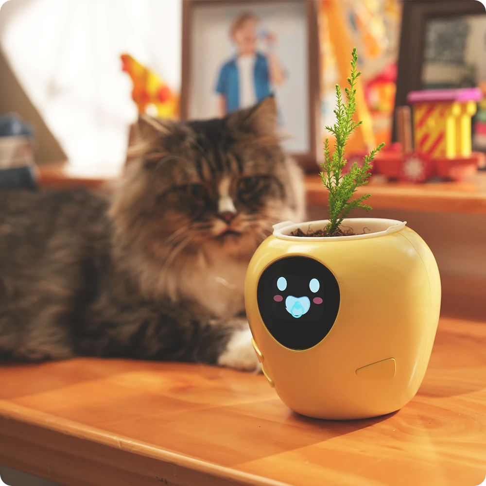 A curious cat looking at a yellow PlantBot smart pot, illustrating the interactive and pet-safe nature of the plant robot.
