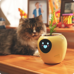 A curious cat looking at a yellow PlantBot smart pot, illustrating the interactive and pet-safe nature of the plant robot.