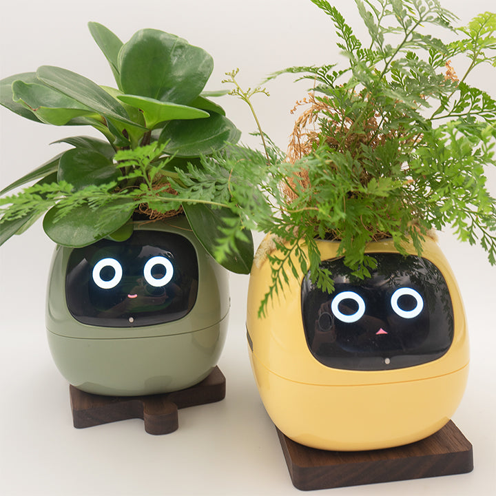 Plantbot smart pet planter pot add-on wood plant stand with
