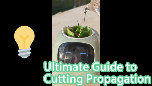 The Ultimate Guide to Cutting Propagation: How to Grow Your Garden from Cuttings