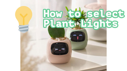 Plant care: how to select plant lights
