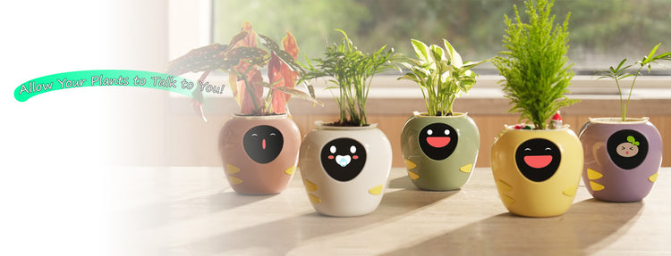 Plantsrobot plantbot smart pet planter pot allow your plants talk to you pc