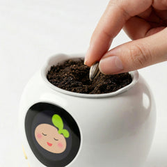 Seed Pack