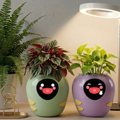 Grow Light