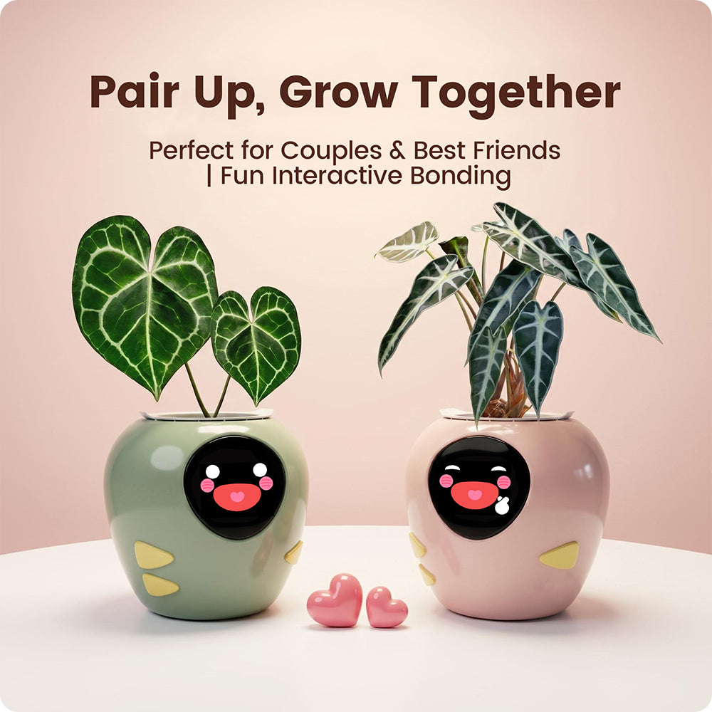 lua smart plant pot price BOGO PlantBot Tamagotchi – Plantsrobot