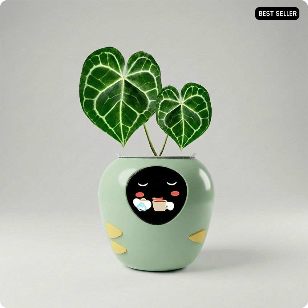 Green AI expression smart planter with a hungry eating emoji screen, planted with a variegated caladium (elephant ear) houseplant, cute smart pot for modern indoor gardening.