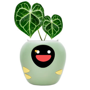 plantsrobot plantbot smart pet planter robot plant robot pot cute green plant sun face
