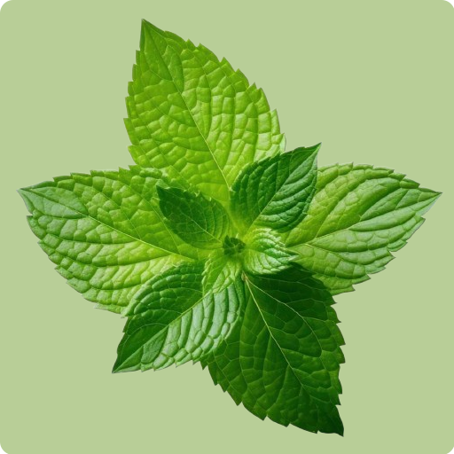 Mint