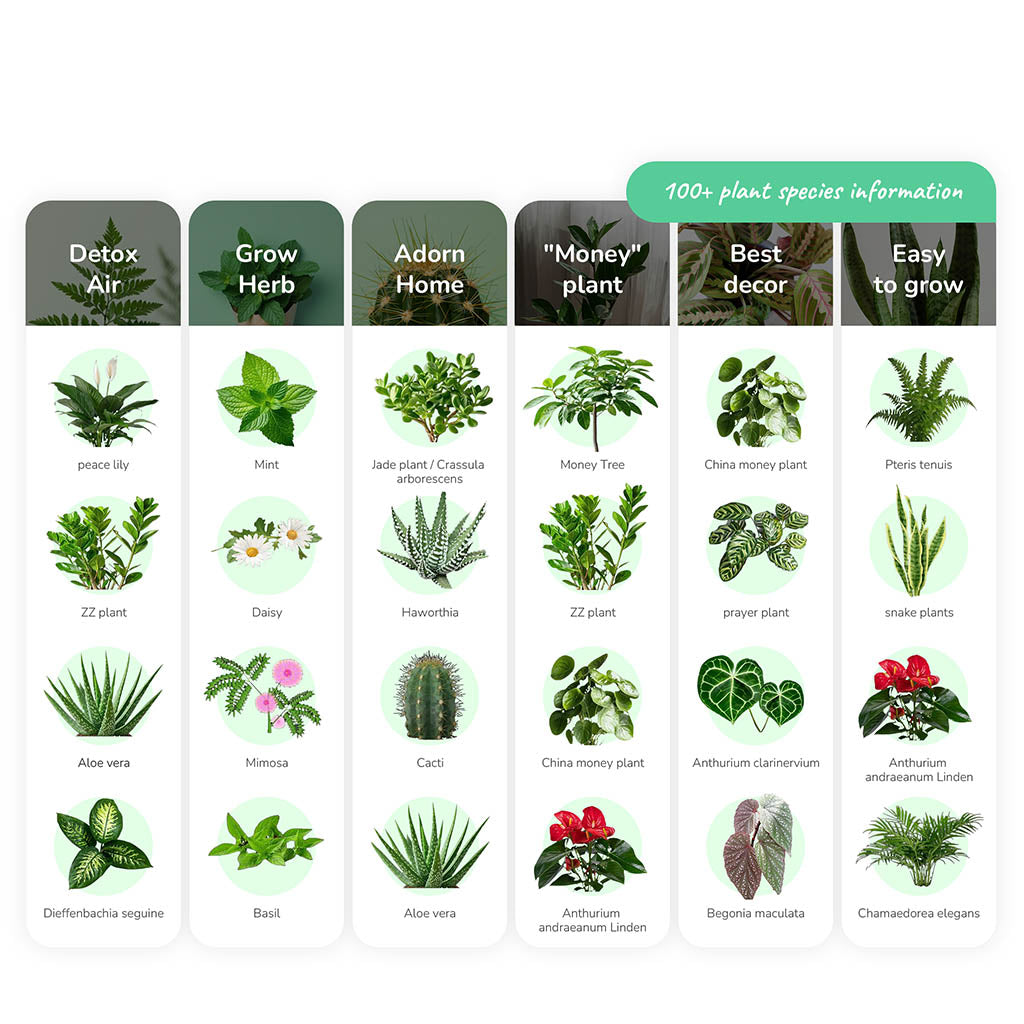 plantsrobot plantbot smart pet planter robot plant robot pot cute plant list