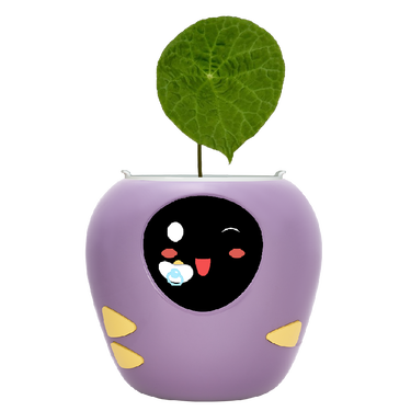 plantsrobot plantbot smart pet planter robot plant robot pot cute purple baby red face