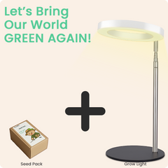 Seed Pack & Grow Light