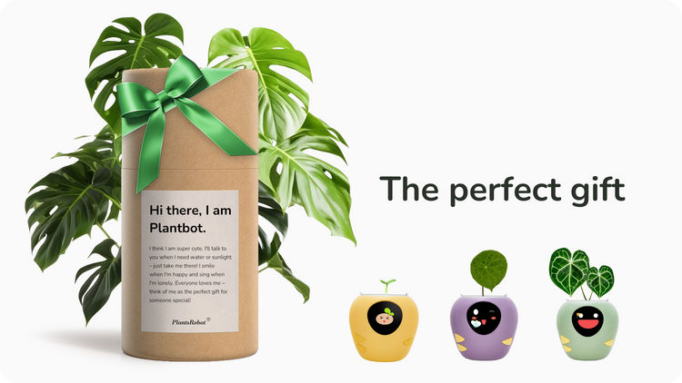 Plantsrobot plantbot smart pet planter pot cute the perfect gift