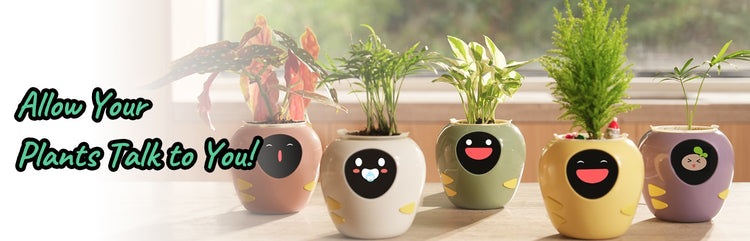 plantsrobot plantbot smart pet planter robot plant robot pot cute about us banner