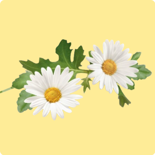 Seed Pack