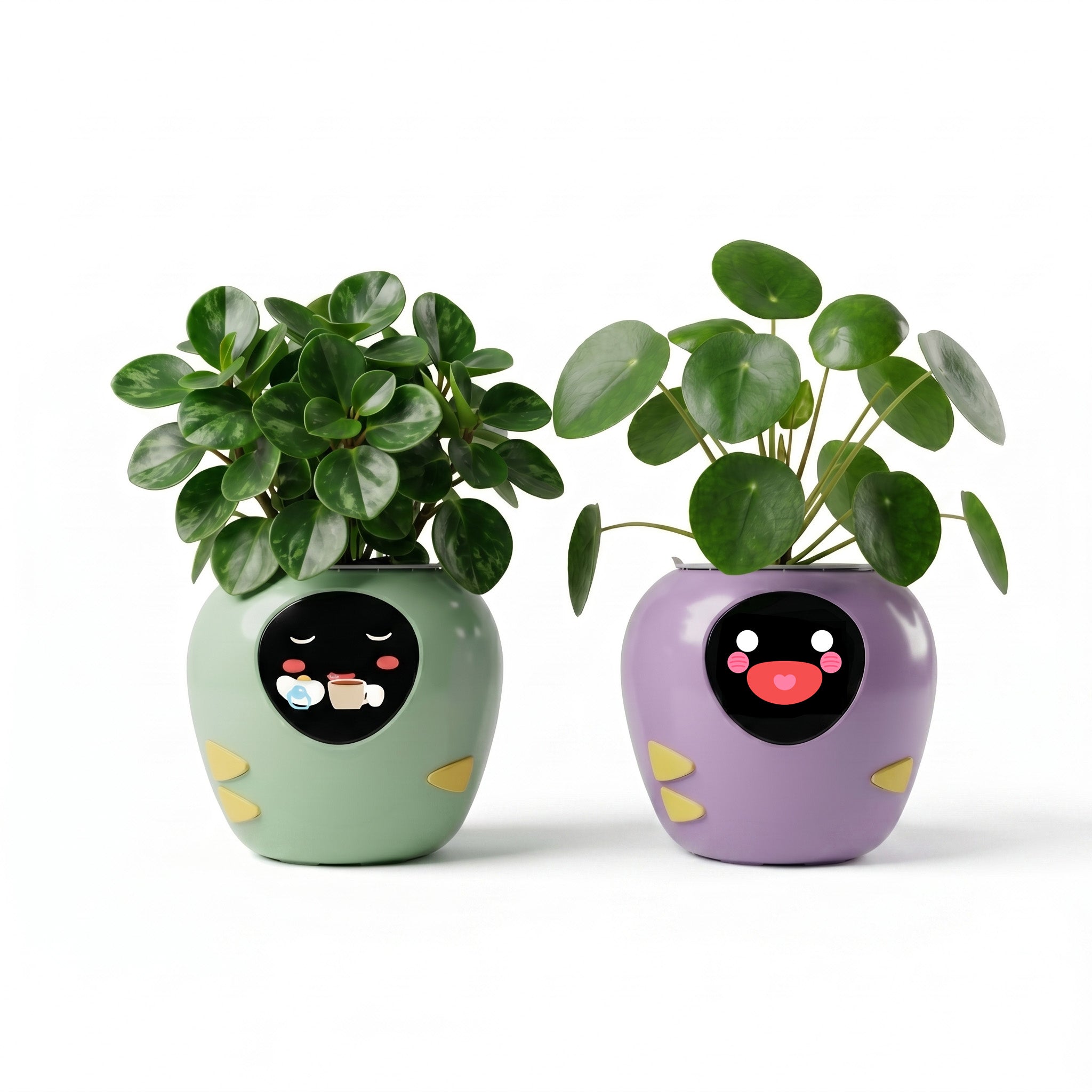 BOGO PlantBot Tamagotchi – Plantsrobot