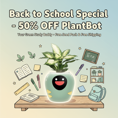 Back to School, Back to Bloom! + Smart Pet Planter - Plantbot！