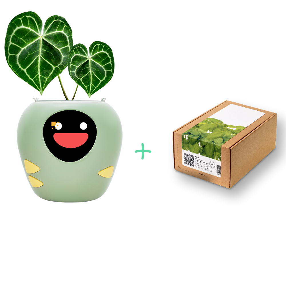 Back to School, Back to Bloom! + Smart Pet Planter - Plantbot！