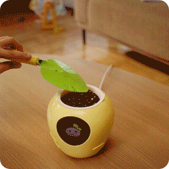 Seed Bot PlantBot: Your AI Smart Plant Pot | The Plant Robot That Talks ...