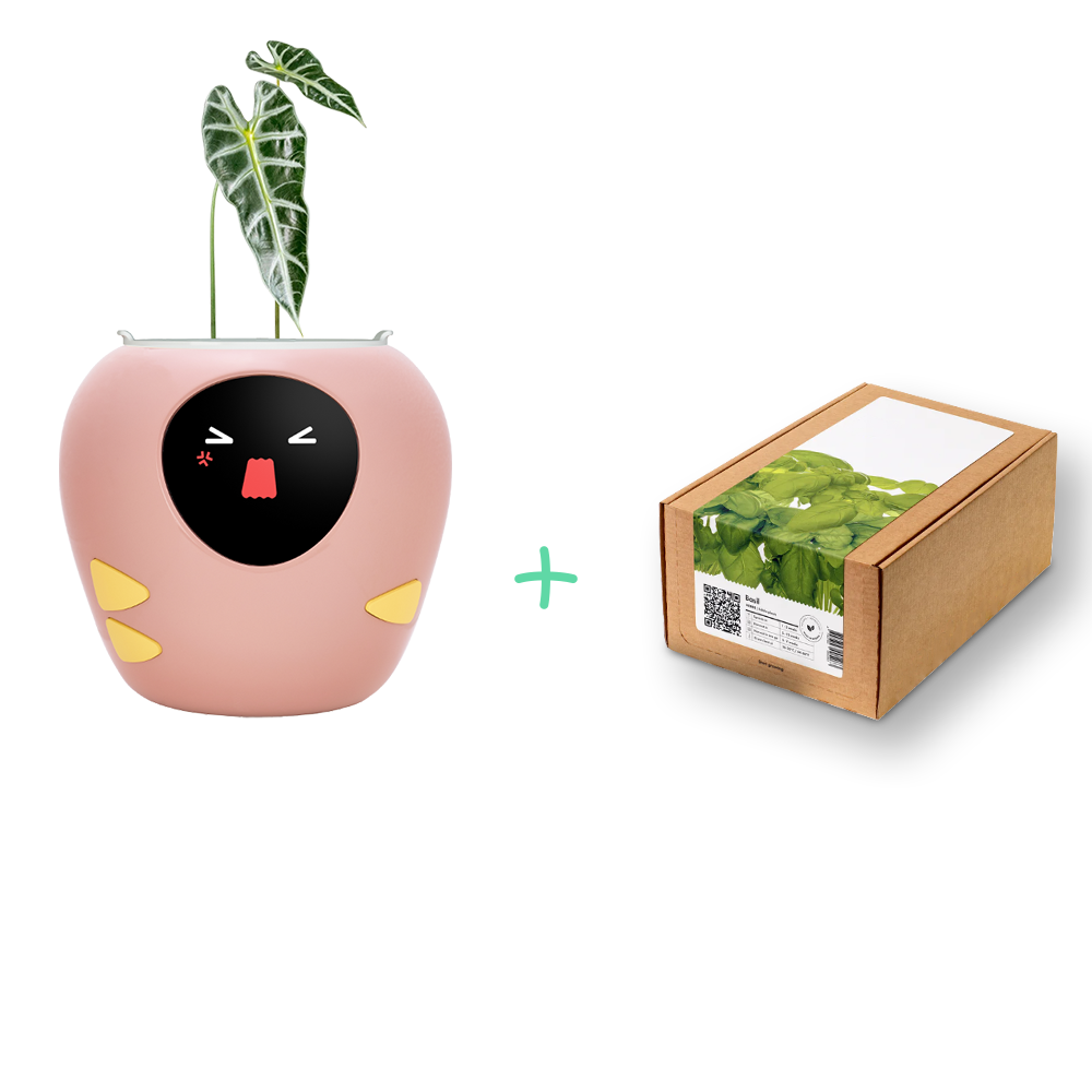 Back to School, Back to Bloom! + Smart Pet Planter - Plantbot！