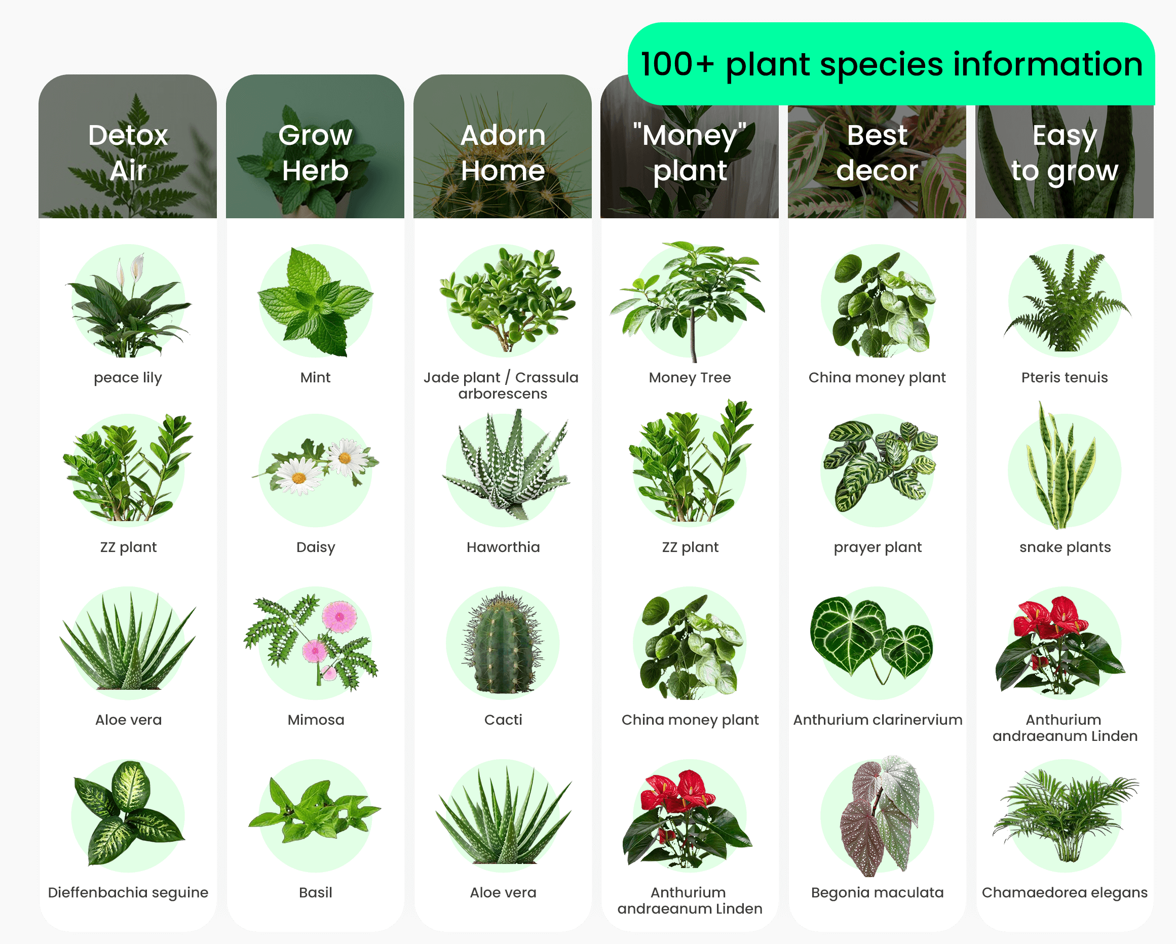 plant list plantbot
