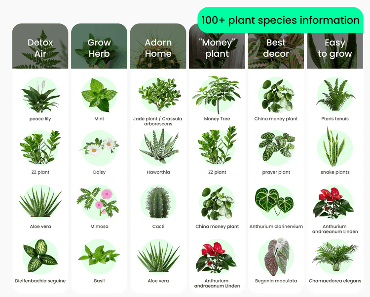 plant list plantbot