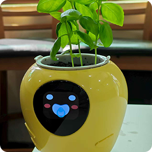 PlantBot customer Leo Jackson sharing the satisfaction of watching seeds grow day by day in the yellow smart robot planter
