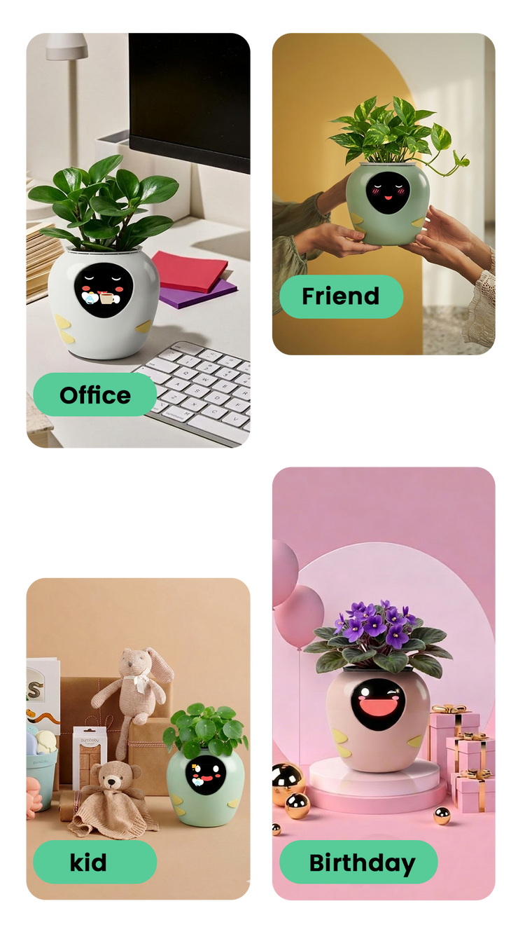 PlantBot AI smart plant pot as a unique gift: A perfect desk companion for the Office; a joyful shared experience for Friends; a tool for growing love together for Parent & Kids; and a sweet, unique Birthday gift idea.