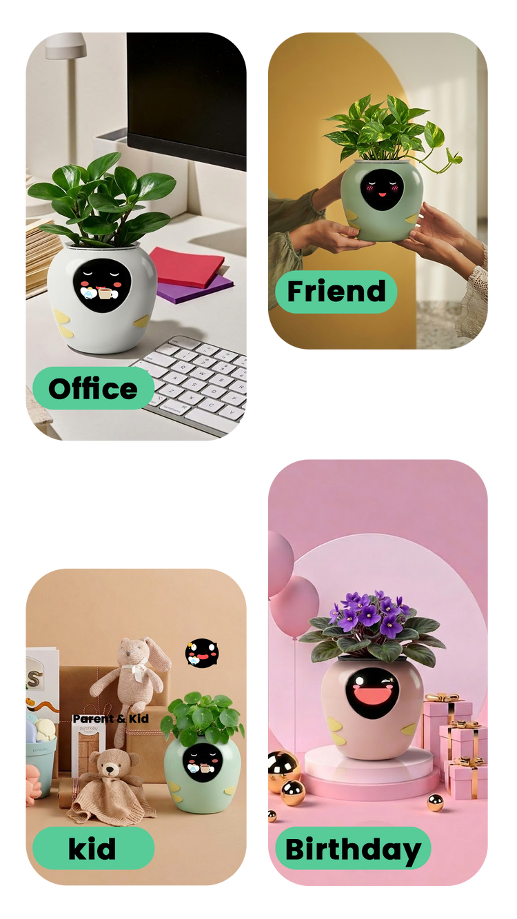 PlantBot AI smart plant pot as a unique gift: A perfect desk companion for the Office; a joyful shared experience for Friends; a tool for growing love together for Parent & Kids; and a sweet, unique Birthday gift idea.