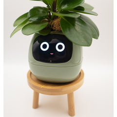 Plantbot smart pet planter pot add-on warp gift package with