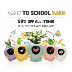 Back to School, Back to Bloom! + Smart Pet Planter - Plantbot！