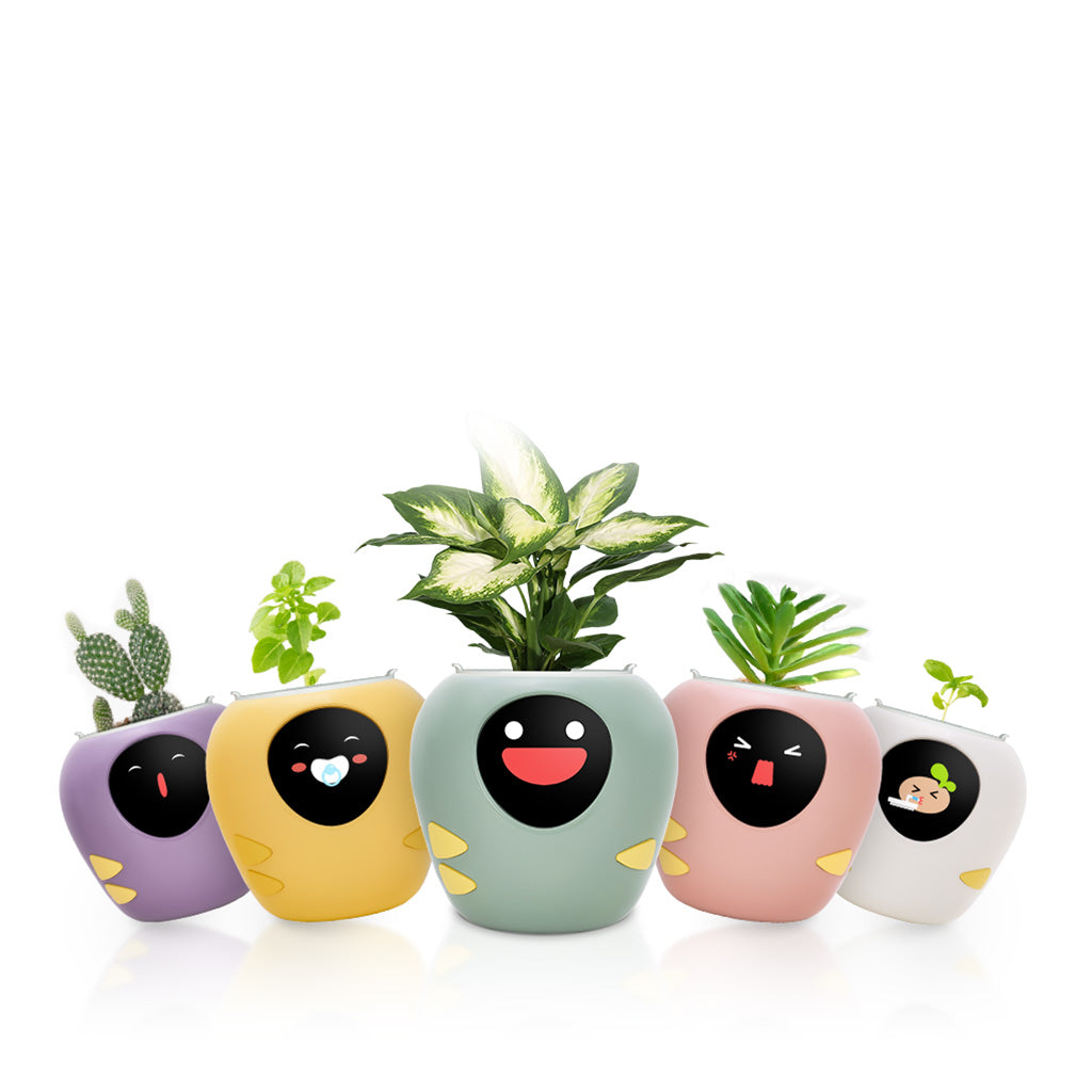 plantbot smart pet planter pot cute 5 colors main
