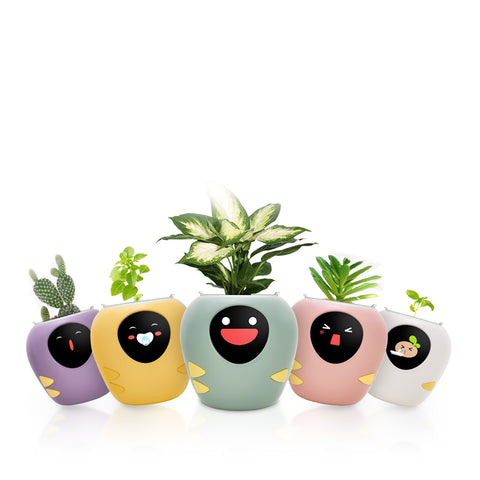 plantbot smart pet planter pot cute 5 colors main