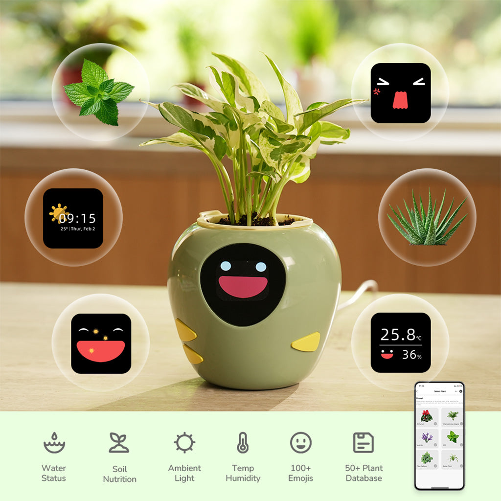 plantbot smart pet planter pot cute green plant on the desk