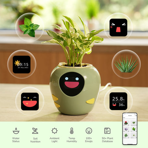 plantbot smart pet planter pot cute green plant on the desk