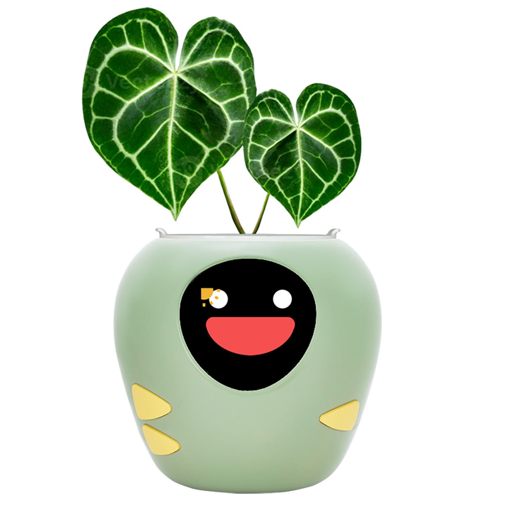plantbot smart pet planter pot green love sharp leaf