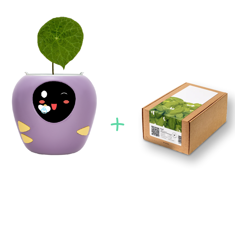 Back to School, Back to Bloom! + Smart Pet Planter - Plantbot！