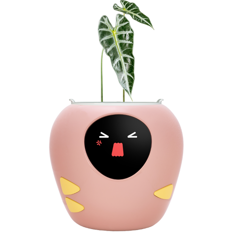 Pink plant icon.png