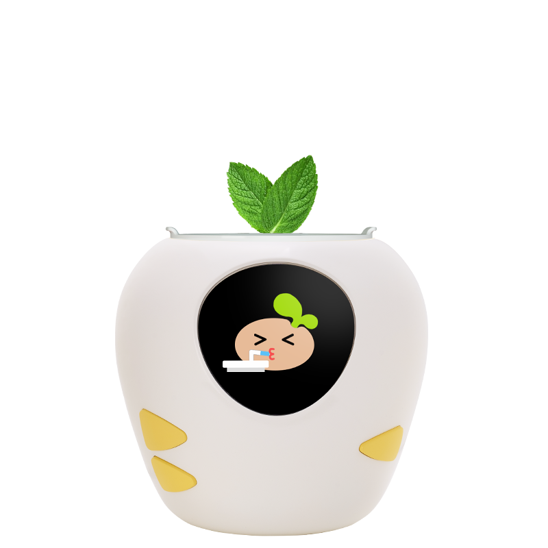 White seed icon.png