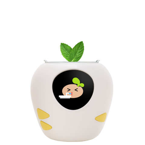 White seed icon.png