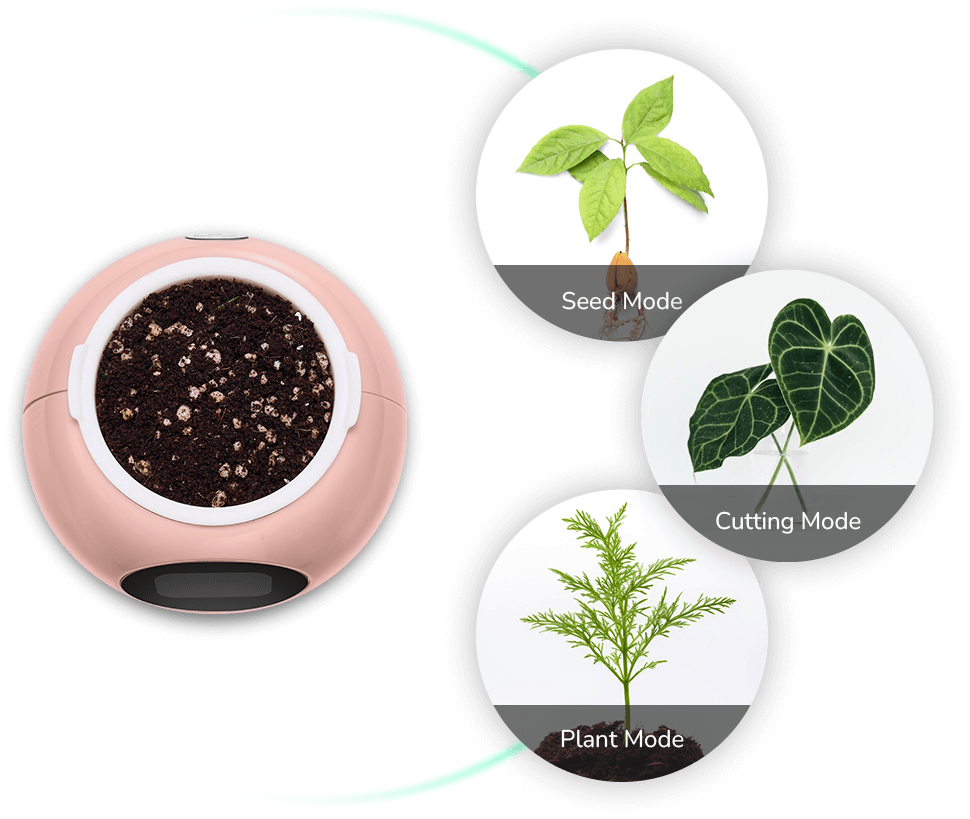 plantsrobot plantbot smart pet planter robot plant robot pot cute pink three mode introduction
