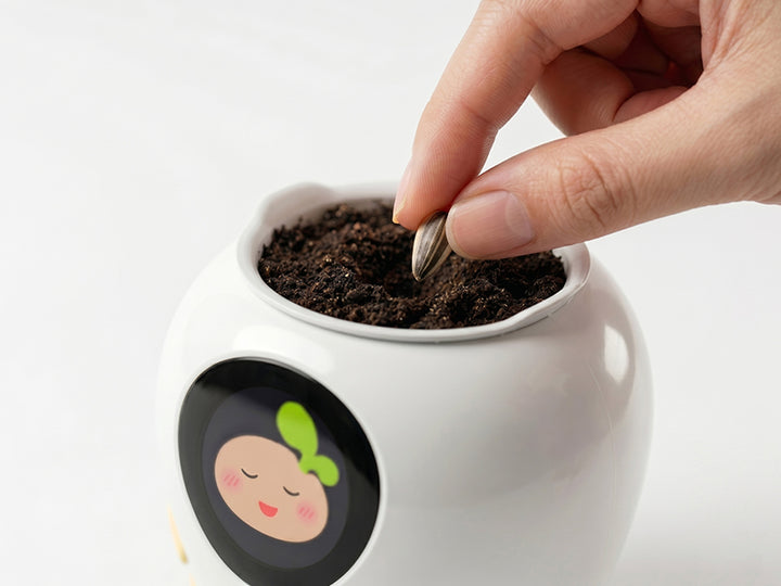 Growing Kit
