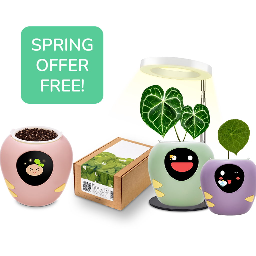 Plantsrobot plantbot smart pet planter pot cute spring special offer free