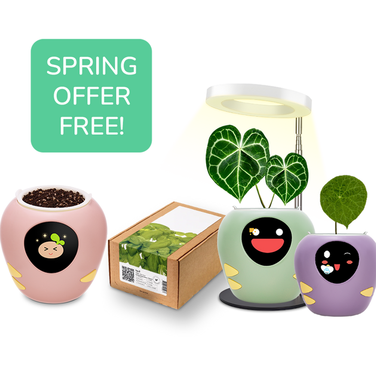 Plantsrobot plantbot smart pet planter pot cute spring special offer free