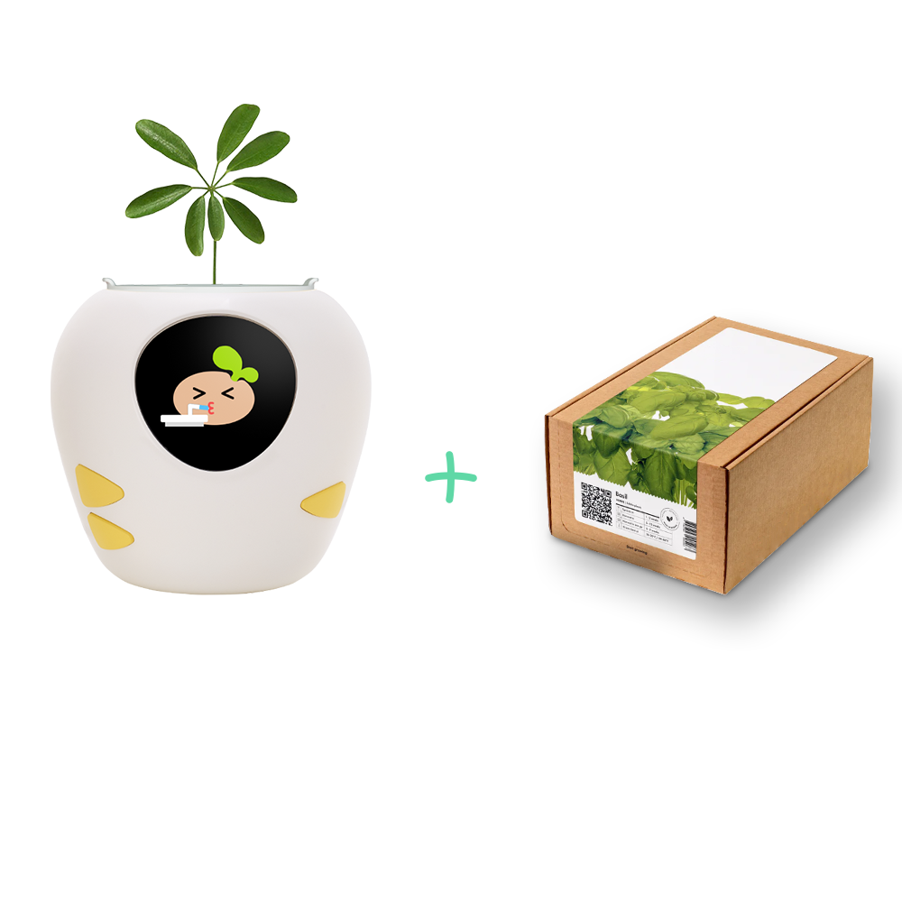 Back to School, Back to Bloom! + Smart Pet Planter - Plantbot！
